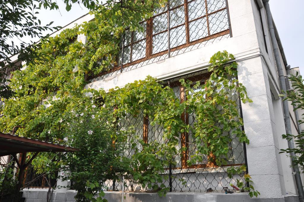 Villa Ivana Odessa Eksteriør billede